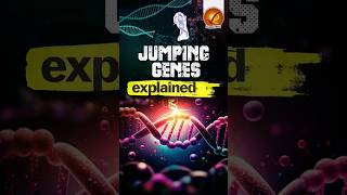 Jumping Genes Explained [upl. by Benedix703]