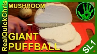 giant puffball mushroom to eat [upl. by Sauls]