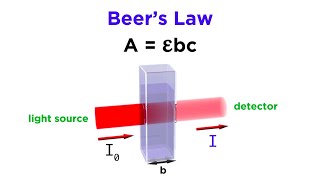 Spectrophotometry and Beers Law [upl. by Carolynne]