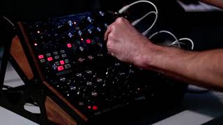 Moog Subharmonicon  DFAM Live Jam 1 [upl. by Nosle365]