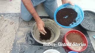 Universal Potting Mix [upl. by Jemie]