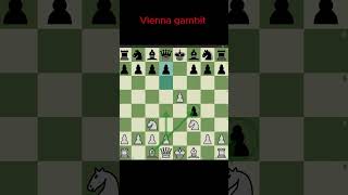 Vienna Gambit vienna gambits [upl. by Iznyl]