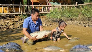 Harvest giant fish ponds with your children to sell at the market  CookingXuanTruong [upl. by Corson]