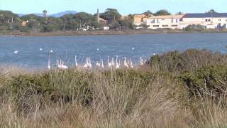 Les salins dHyères [upl. by Phylys]