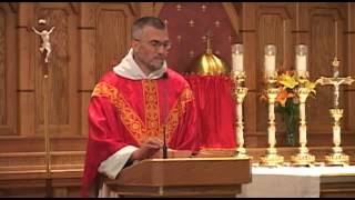 Jun 28  Homily St Irenaeus Man of Peace [upl. by Clari]