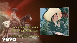 Vicente Fernández  El Jalisciense Cover Audio [upl. by Antipas]