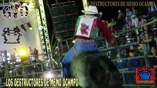 REY DEL AIRE CON CHARRITO DE QUERETARO EN CHARCO LARGO GUANAJUATO 2019 [upl. by Osbourn463]