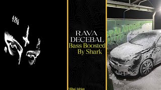 RAVA  DECEBAL Bass Boosted Shark [upl. by Sadella221]