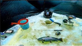 ICE FISHING for BROWN TROUT [upl. by Currey]