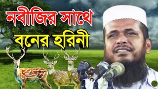 নবীজির কাছে হরিনীর ফরিয়াদ  মাওলানা তোফাজ্জল হোসেন ভৈরবি  Mawlana Tofazzal Hossain Waz  new waz [upl. by Leirda]