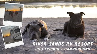 River Sands RV Resort  Ehrenberg AZ  Dog Friendly Campground [upl. by Durno]