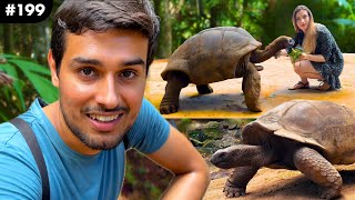 The Giant Aldabra Tortoises  Longest Living Reptiles 190 years  Dhruv Rathee Vlogs [upl. by Lednic]