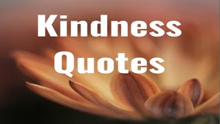 Kindness Quotes and Sayings  Kindness best Ever Quotes [upl. by Riplex]