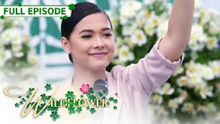 ENG SUB Ep 256  Wildflower  Maja Salvador Tirso Cruz III Aiko Melendez [upl. by Kcirdderf]