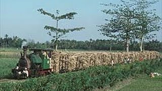 Trangkil Sugar Mill Central Java Indonesia Part 4 [upl. by Radie]