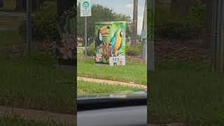 Blue amp Gold Macaw amp Toucan Painted Equipment Box Sanford Florida [upl. by Booth]