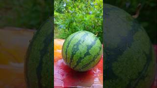 Why does is happyns Fantastic watermelon fruits [upl. by Nolie]