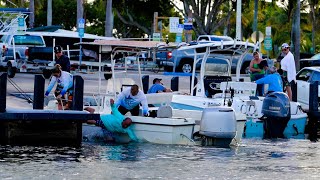 Boater Warned about Crocodile one Ramp Over and Still Falls In  Its Bad  Chit Show [upl. by Siuluj]