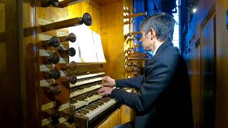 Airs des Clochettes WA Mozart  Frédéric Deschamps au grand orgue de la cathédrale dAlbi [upl. by Yllib]