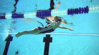 Natation pour tous  analyse technique en brasse [upl. by Alrep254]