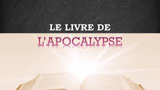 Le livre de lApocalypse  Session 6  Les élus les saints et les martyrs [upl. by Enilegnave]