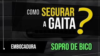 Gaita para iniciantes  Sopro empunhadura e embocadura  Gaita de boca [upl. by Matheson]