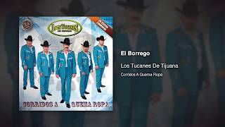 El Borrego  Los Tucanes De Tijuana Audio Oficial [upl. by Hammerskjold475]