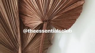 DIY Easy Palm Decor  The Essentials Club [upl. by Ennoira406]