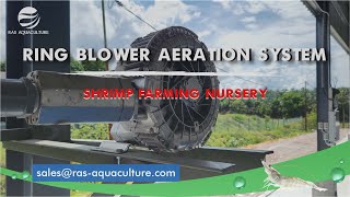 Aeration Systems for Indoor Shrimp Farming Systems  Piping and Blower Sizing [upl. by Adnuhsal]