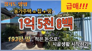 1억5천8백 193평 싼 농가주택 1억 대 양평 전원주택  급매 [upl. by Fital844]