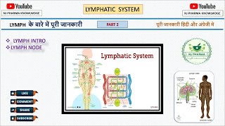 Lymphatic system lecture 2  Anatomy and physiology  lymph intro  lymph node  biology [upl. by Aloise]