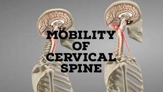 Mobility of cervical spine [upl. by Ithnan]