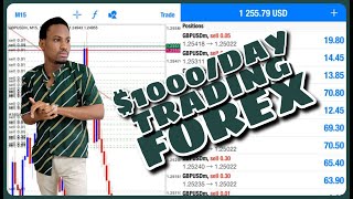 1000DAY TRADING FOREX  EASY FOREX STRATEGY REVEALED 🤩 [upl. by Chapa203]