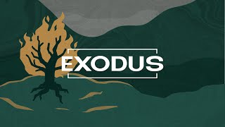 Exodus Bible Study 111324 [upl. by Faythe509]