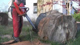 Husqvarna 385XP Chainsaw [upl. by Niatsirk]