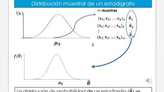 Clase Distribuciones muestrales [upl. by Savell]