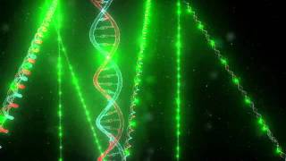 Stellaris RNA Fluorescence In Situ Hybridization FISH Mechanism [upl. by Mazonson]