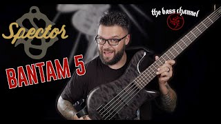 Spector Bantam 5 Bass Demo [upl. by Maribel]