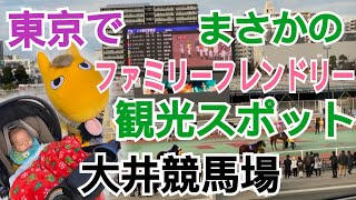 【東京】まさかのファミリーフレンドリー観光スポット、大井競馬場 [upl. by Doehne356]