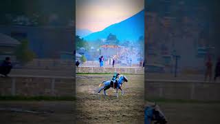 Polo game highlights Chitral  ADNAN Ahmad  horse chitralpolo polo unfrezzmyaccount polopony [upl. by Ronyar254]