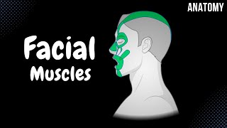 Muscles of Facial Expression Parts Origin Insertion Function [upl. by Ssew303]