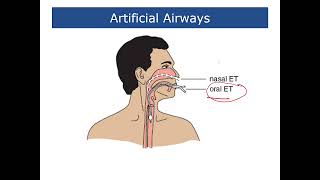 Fundamentals of Nursing  Lecture 22 Oxygenation  Part 3 [upl. by Etteniotnna]