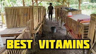 PINAKA BEST VITAMINS PARA SA ATING MGA MANOK BREEDERS [upl. by Waxman55]