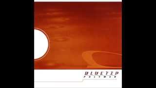 Bluetip  Polymer Dischord Records 121 2000 Full Album [upl. by Franci]