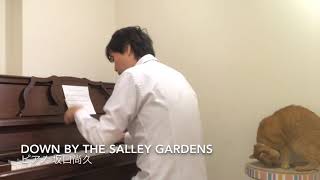 PIANO【Down By The Salley Gardens】 [upl. by Rene]