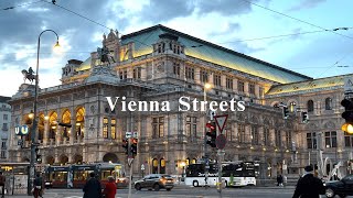 Vienna streets rain or shine Hofburg Complex National Library St Stephens Cathedral and more [upl. by Yereffej]