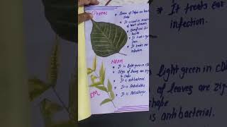 Herbarium File of medical plants3rd class yt short [upl. by Yllop545]