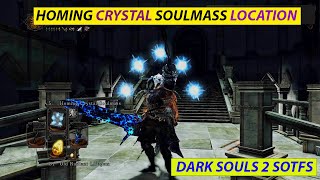 Dark Souls 2 Sotfs  Homing Crystal Soulmass Sorcery location [upl. by Helene57]