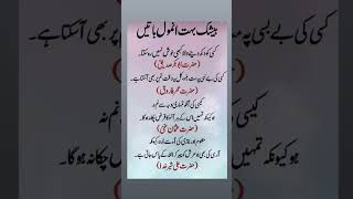 Khulafaye Rashideen ki naseehat خلفائے راشدین Short History Khalifas Islami Malomat Islami [upl. by Gnilrets]