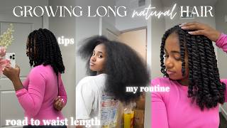 How Im Growing Long Hair in 2024  My Natural Hair Care Routine for Length Retention update [upl. by Siward]